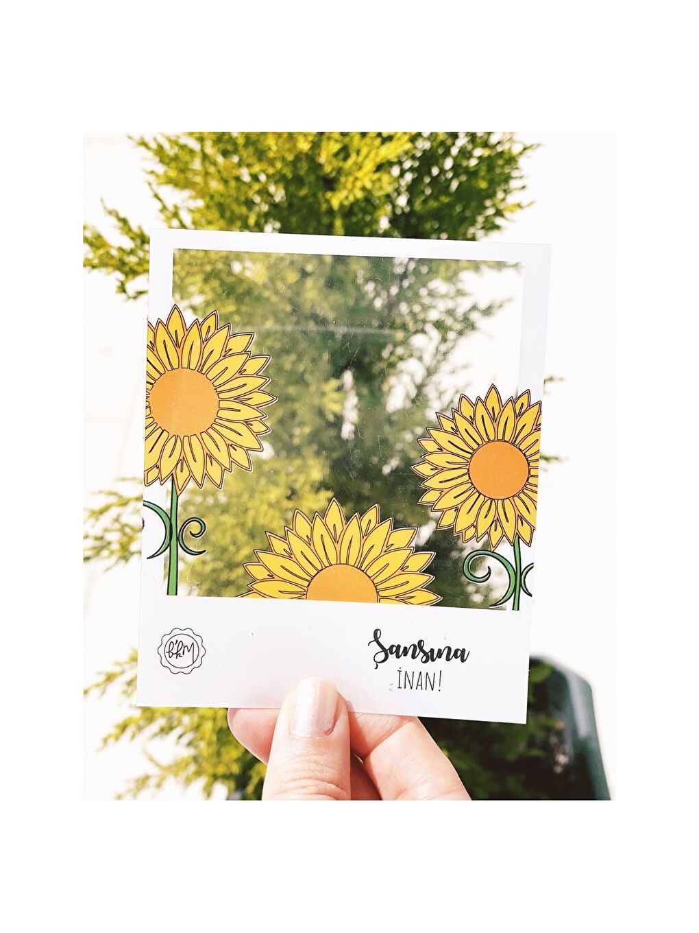 Karışık Şeffaf Çerçeve-2