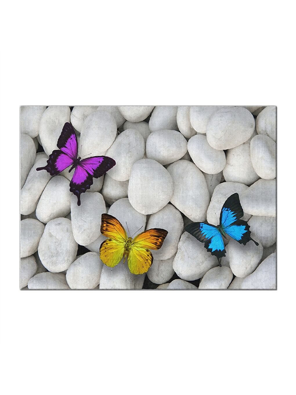 Karışık Baskılı Kapı Önü Paspası-3