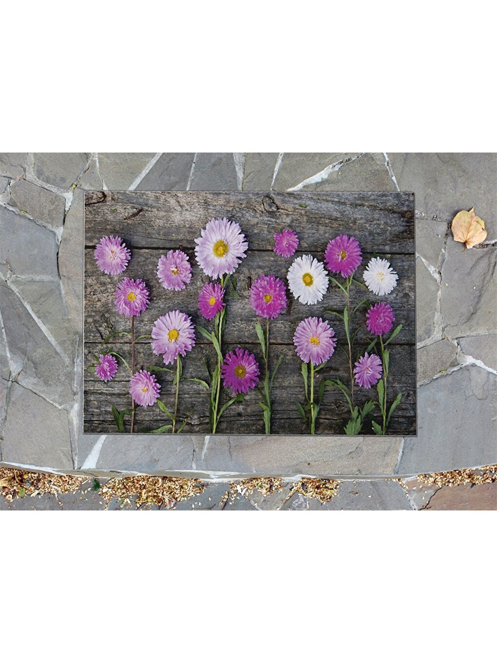 Karışık Baskılı Kapı Önü Paspası-2