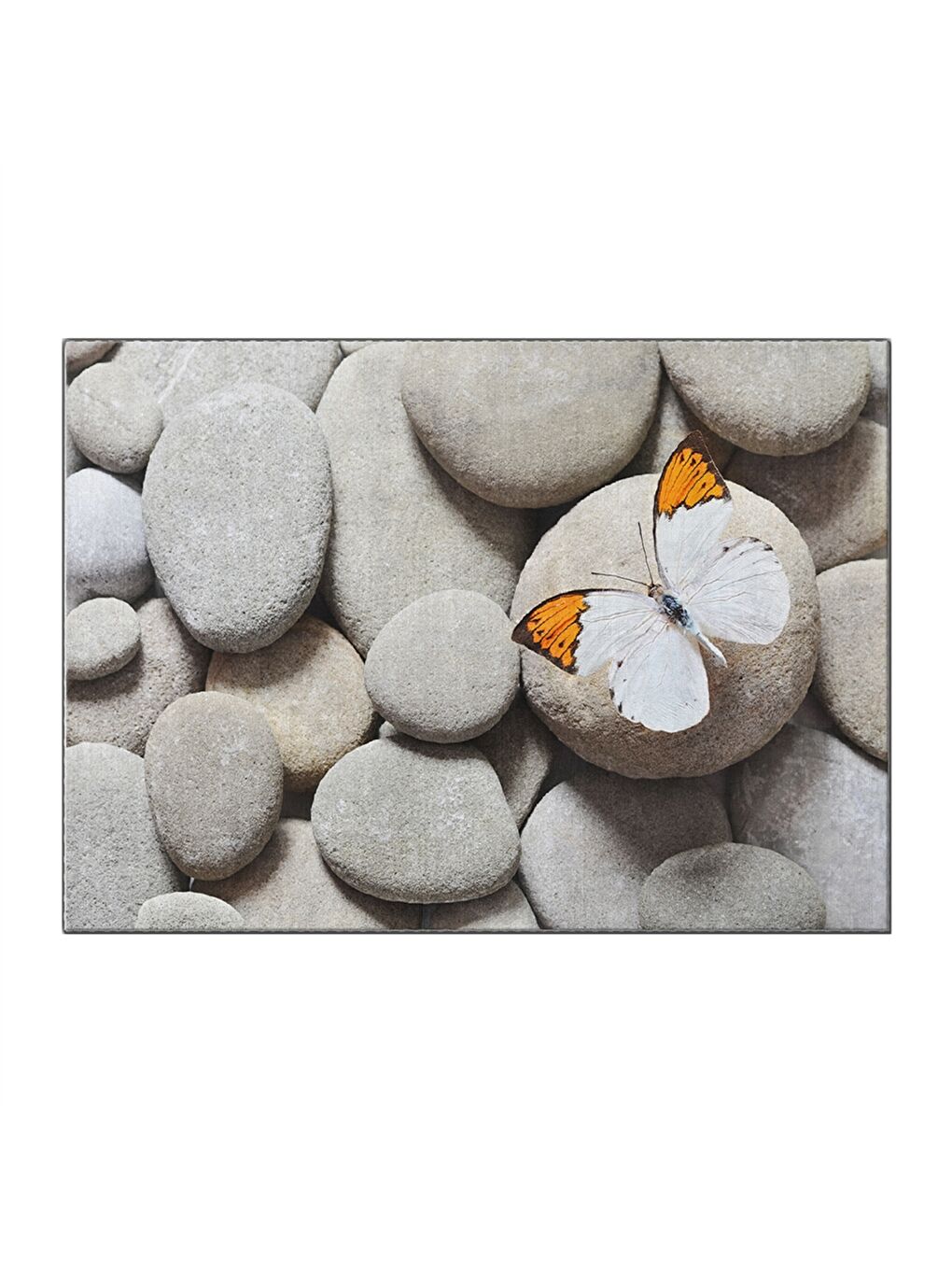 Karışık Baskılı Kapı Önü Paspası-3