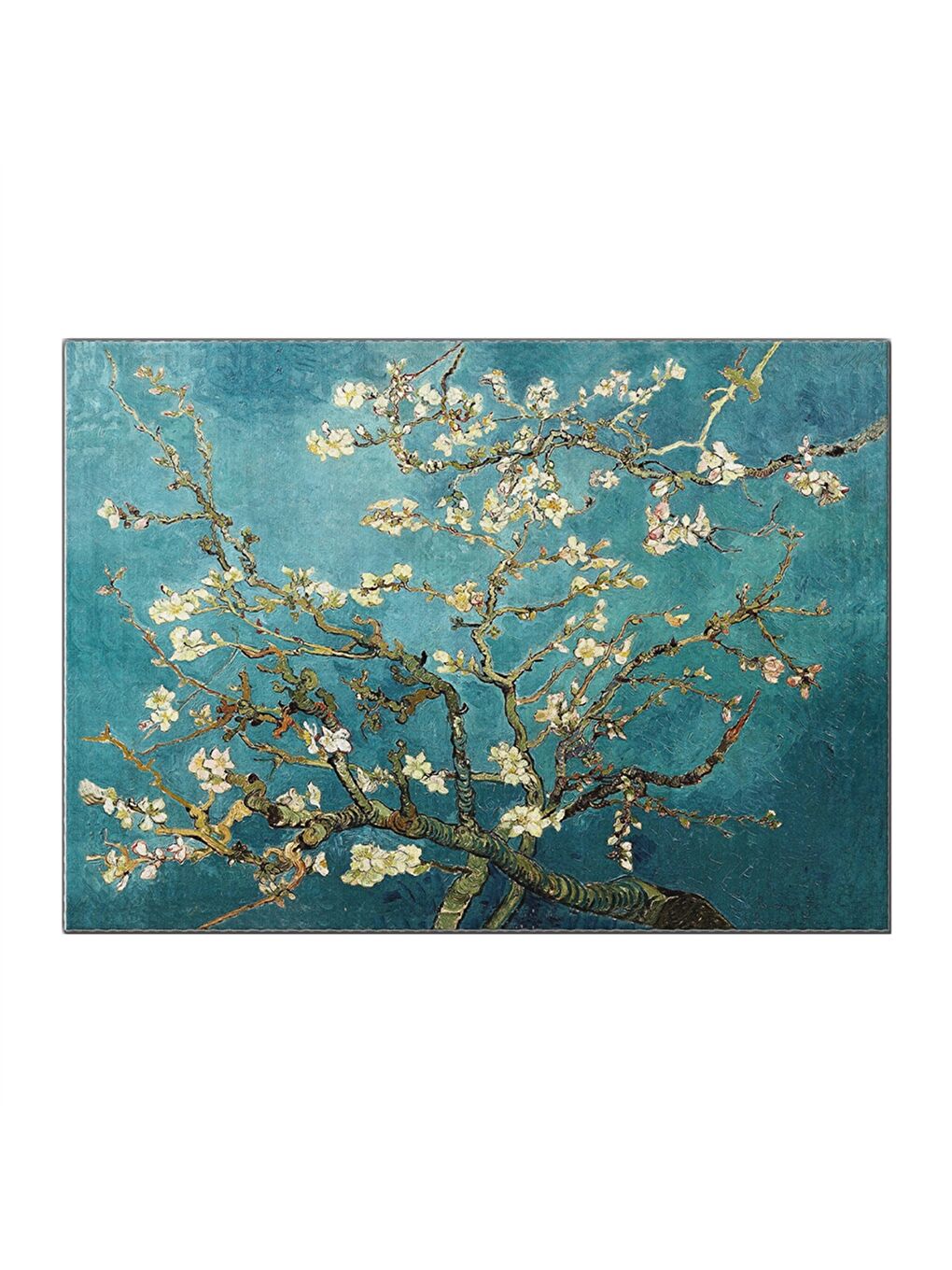 Karışık Baskılı Kapı Önü Paspası-3