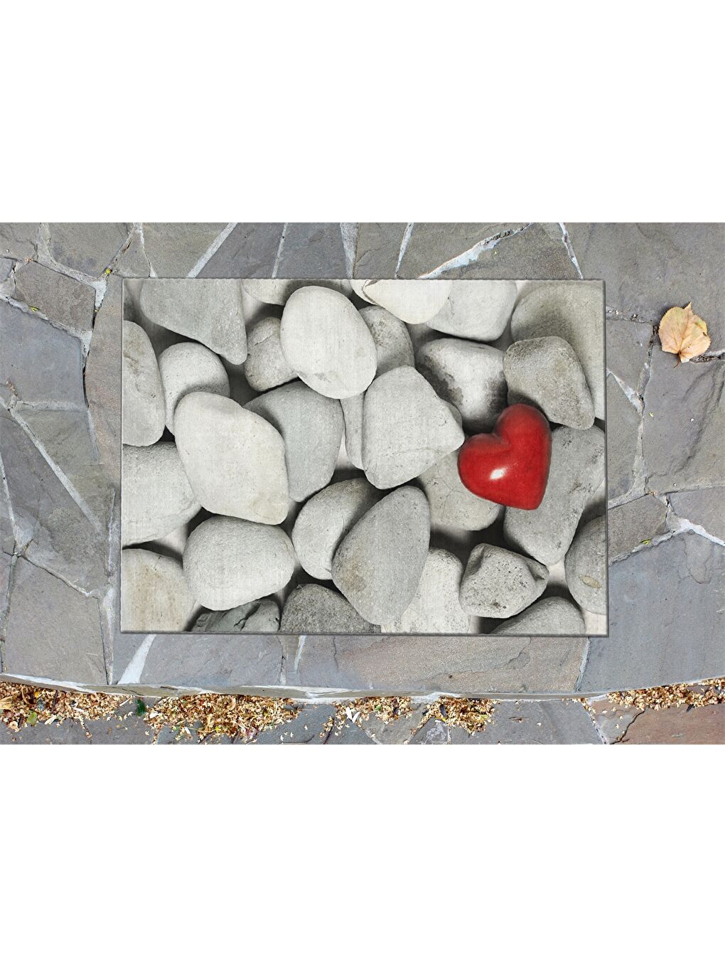 Karışık Baskılı Kapı Önü Paspası-2