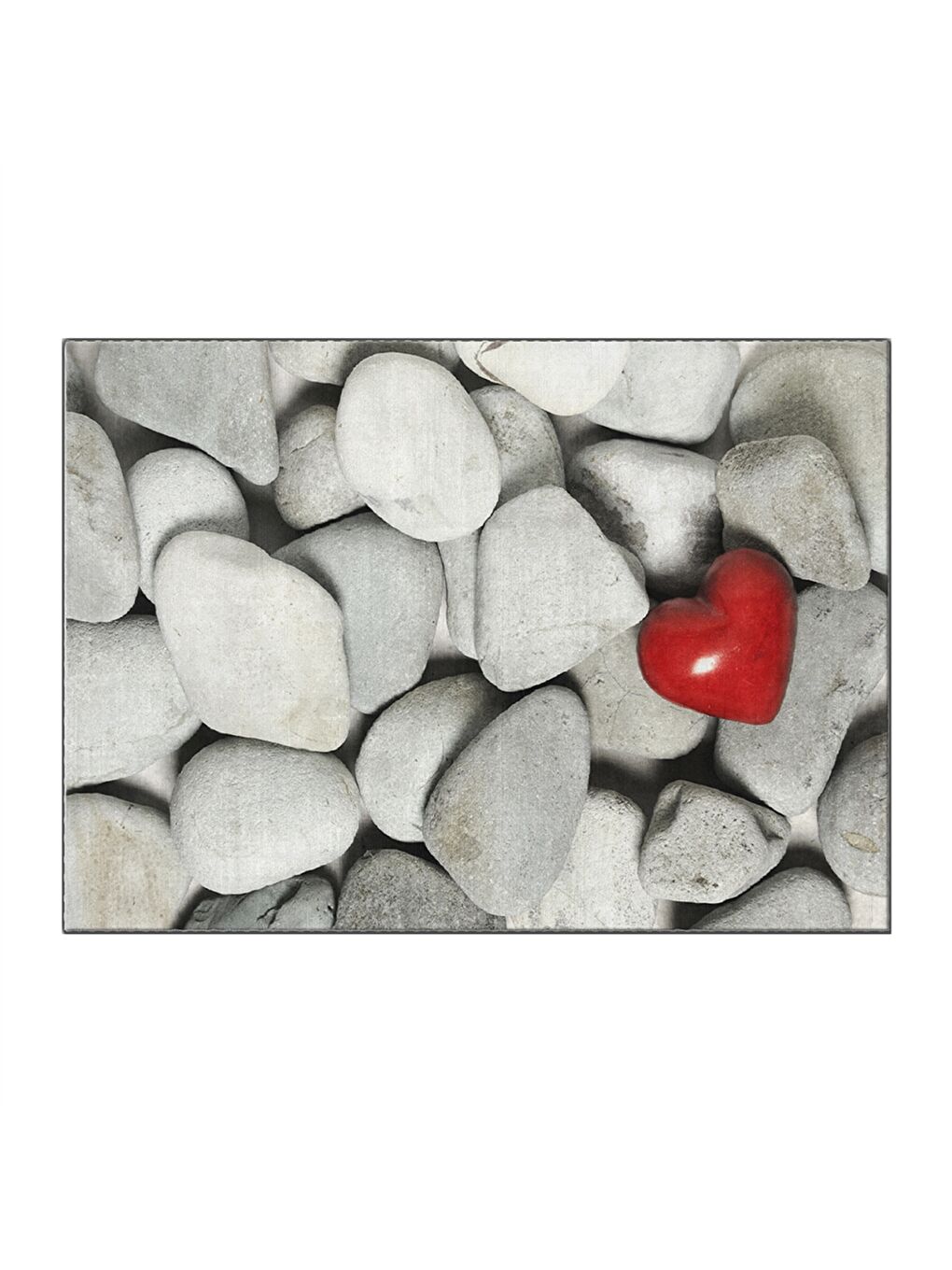 Karışık Baskılı Kapı Önü Paspası-3