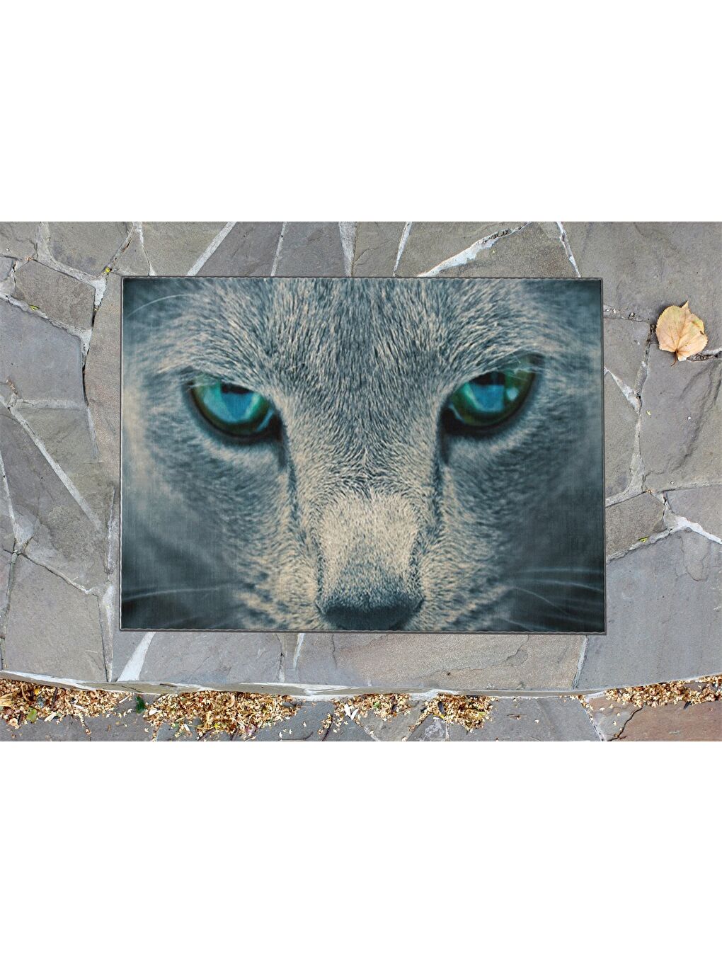 Karışık Baskılı Kapı Önü Paspası-2