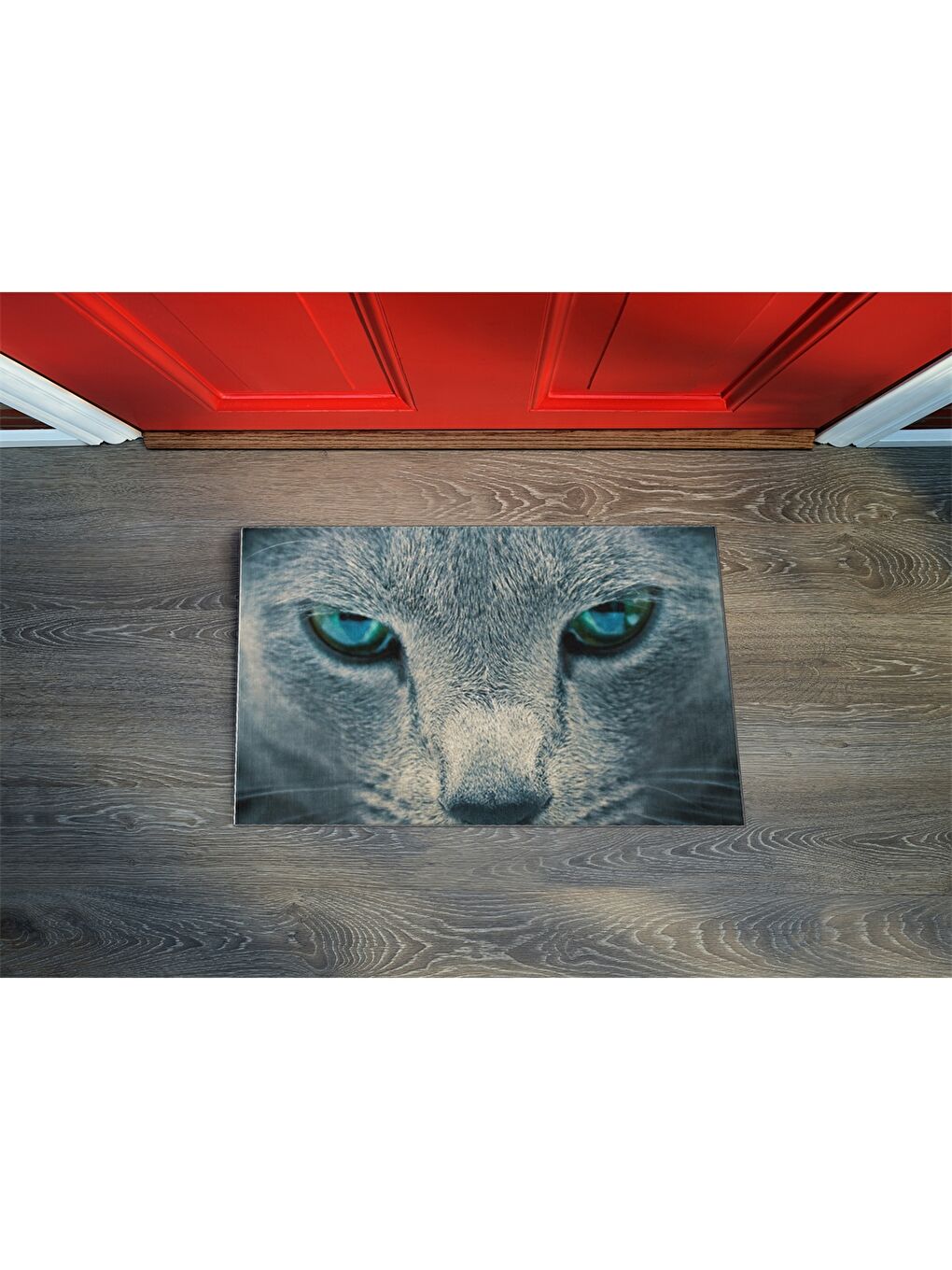 Karışık Baskılı Kapı Önü Paspası-1