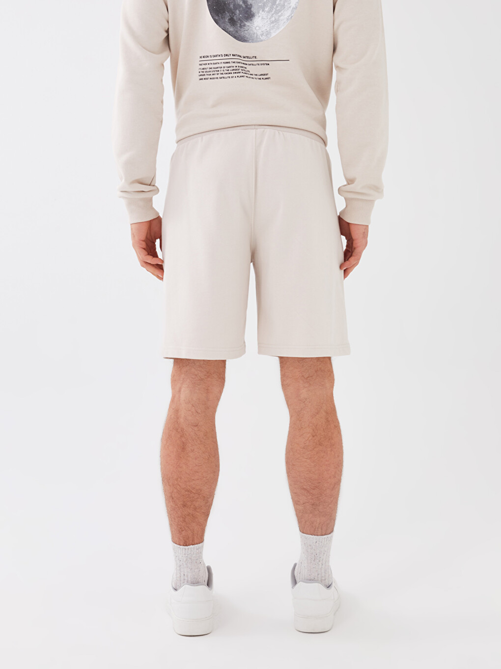 Standard Fit Men's Shorts-4