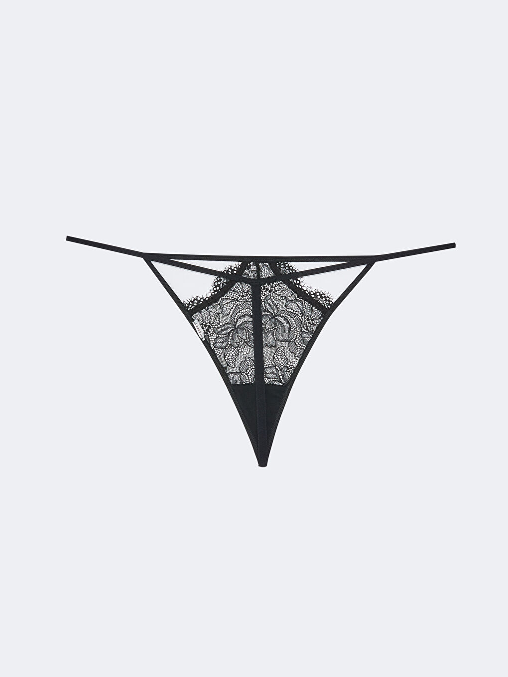 Lace Fantasy Thong Panties -S30217Z8-CVL
