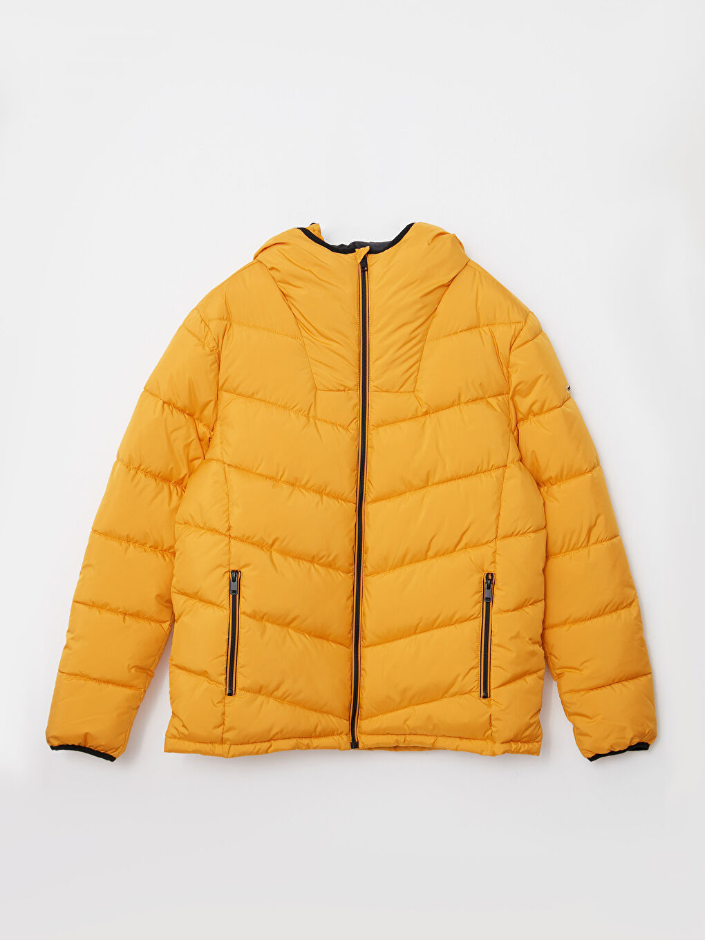 Sarı Standart Kalıp Kapüşonlu Erkek Şişme Mont