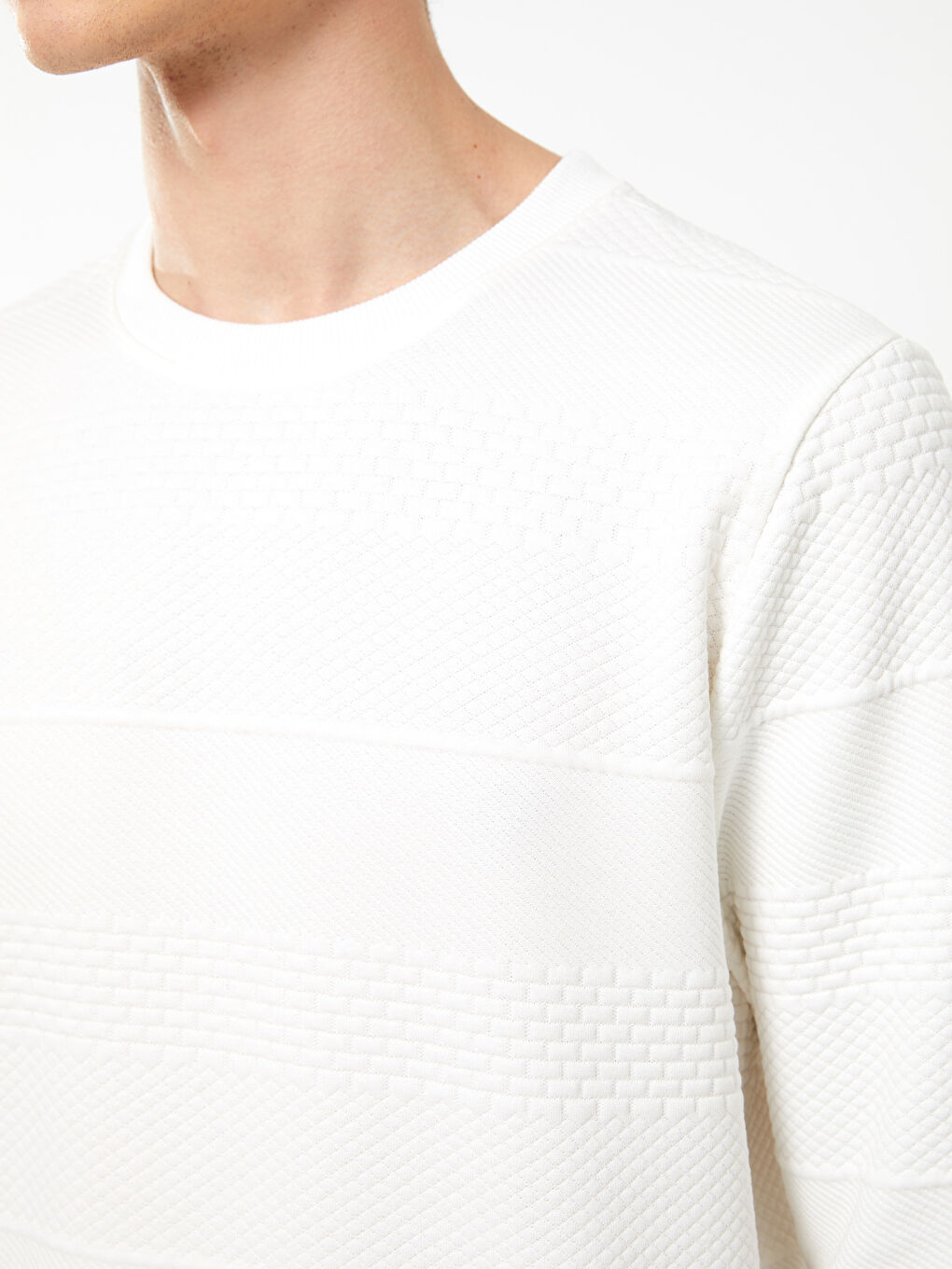 LCW Vision Rundhalsausschnitt Langarm Herren-Sweatshirt -S30929Z8-R9J