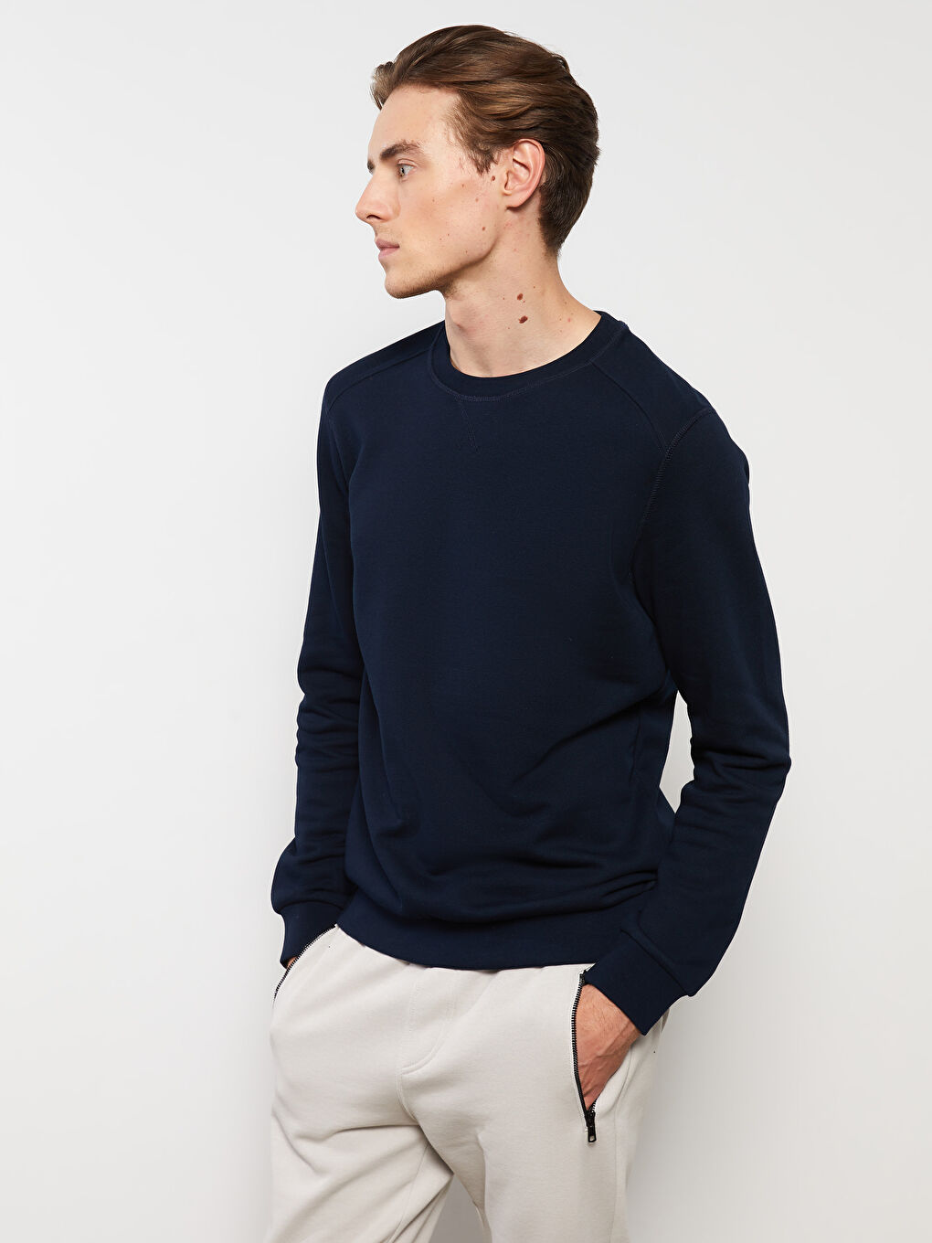 Crew Neck Long Sleeve Men's Sweatshirt-1