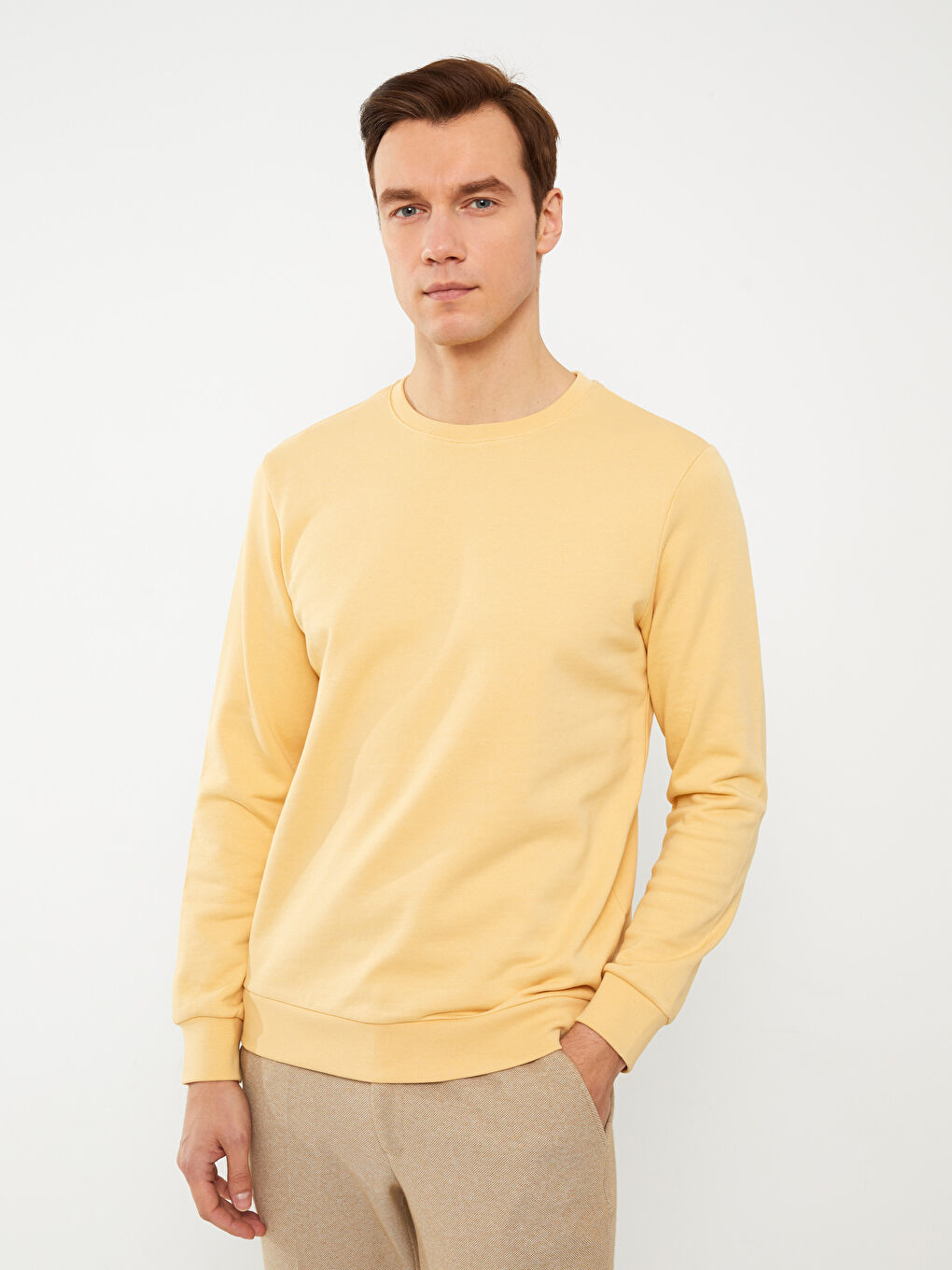 Crew Neck Long Sleeve Men's Sweatshirt-2