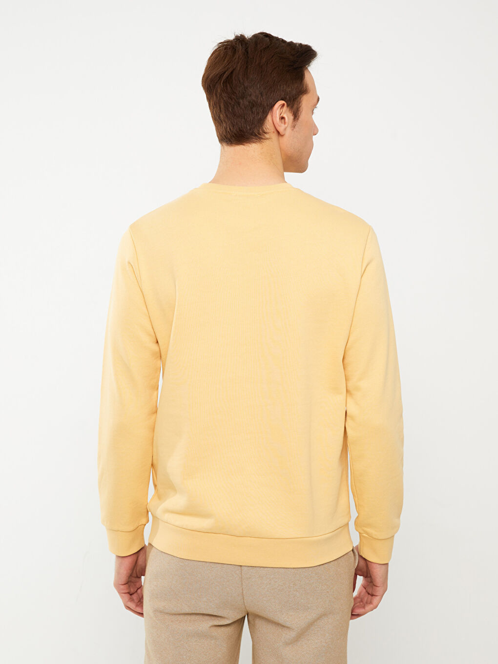 Crew Neck Long Sleeve Men's Sweatshirt-5