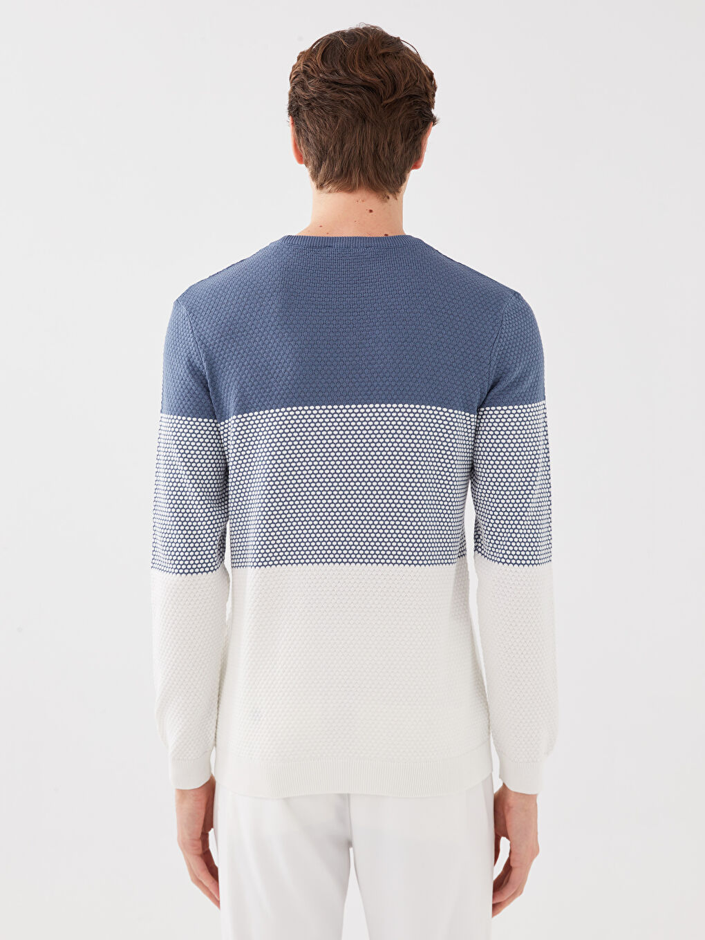 LCW Vision Rundhalsausschnitt Langarm Farbblock Herren Strickpullover -S31244Z8-J0M