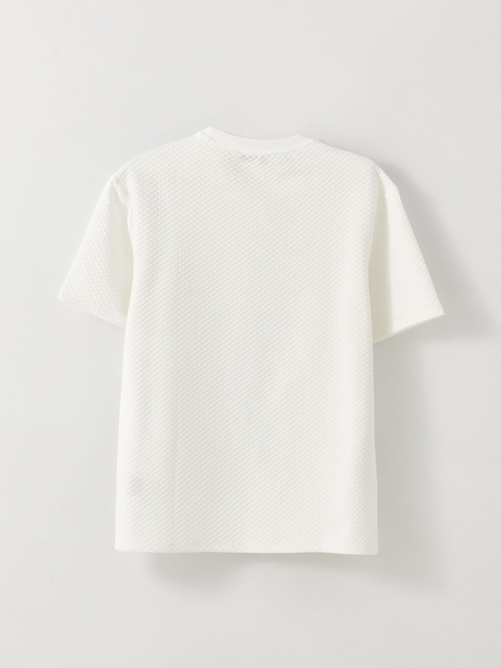 LCW Vision Crew Neck Short Sleeve Men's T-Shirt -S31495Z8-R9J