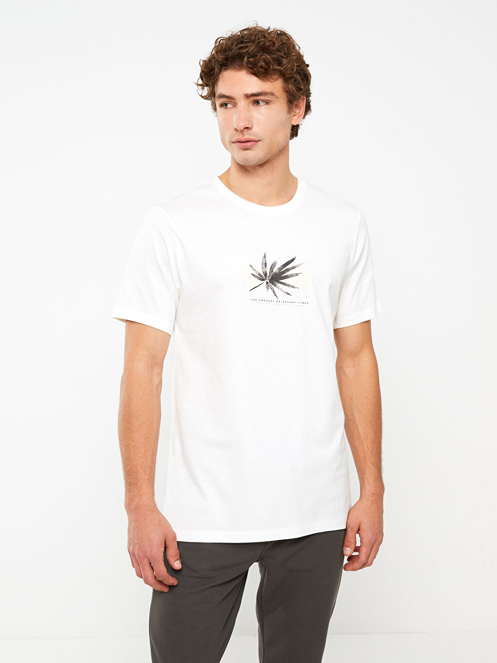 تيشيرت رجالي ياقة دائرية كم قصير مطبوع قطن ممشط