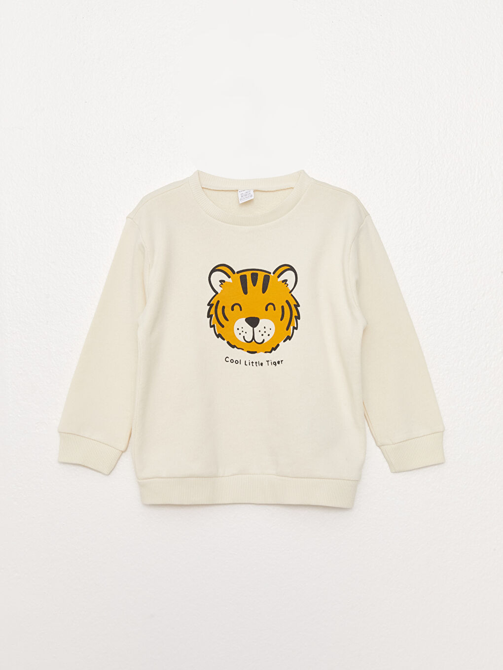 Crew Neck Long Sleeve Printed Baby Boys' Sweatshirt