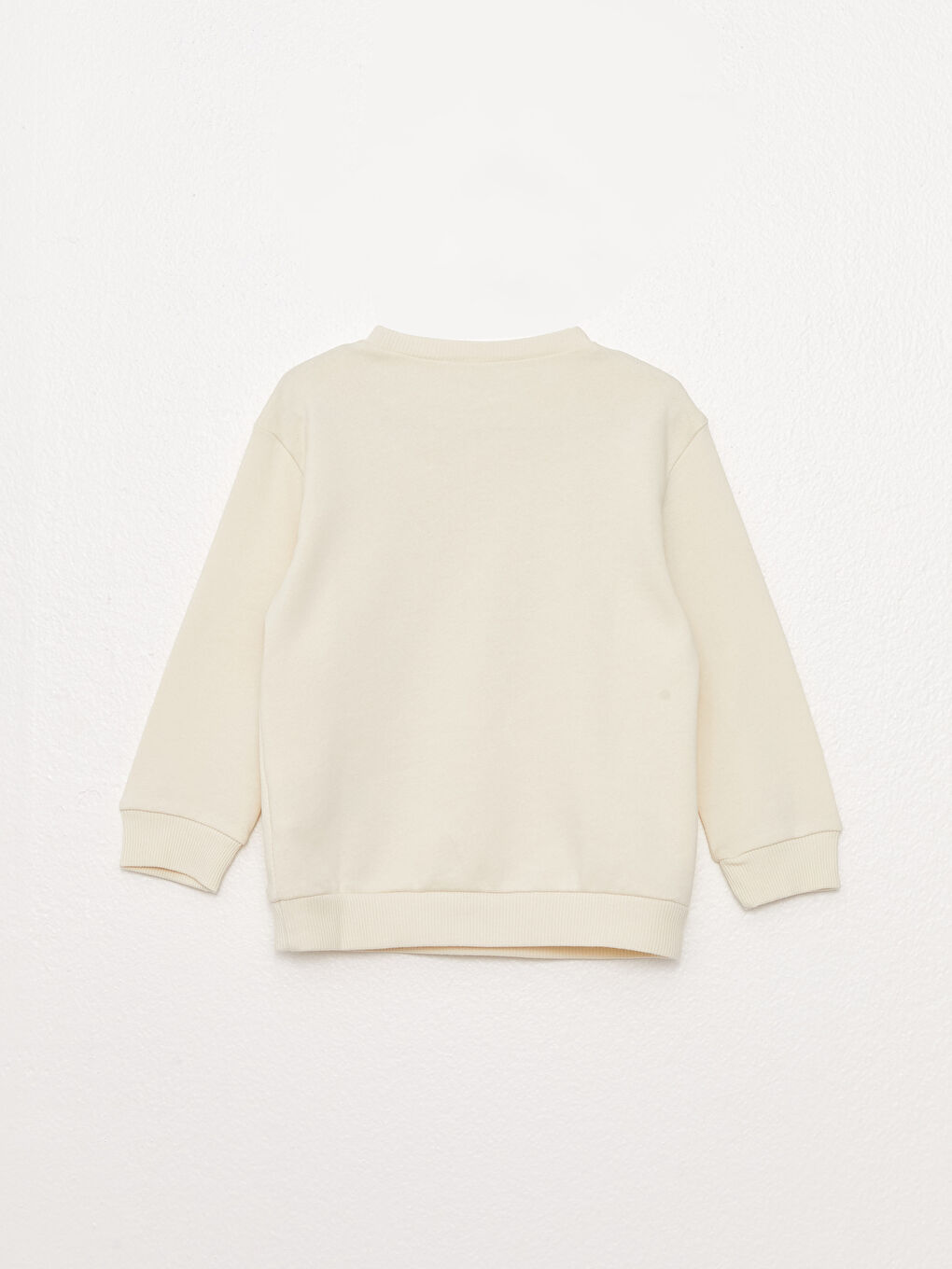 Crew Neck Long Sleeve Printed Baby Boys' Sweatshirt-1