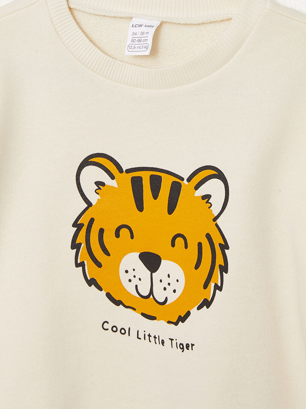 Crew Neck Long Sleeve Printed Baby Boys' Sweatshirt-2