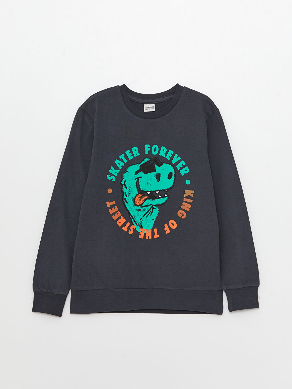 Crew Neck Printed Long Sleeve Boys' T-Shirt-3