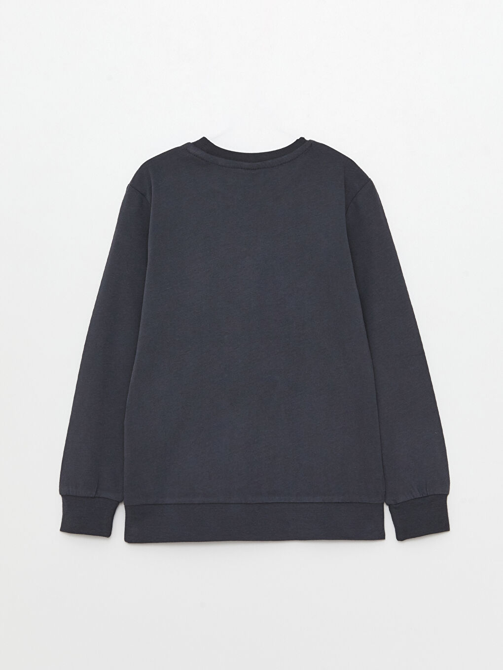 Crew Neck Printed Long Sleeve Boys' T-Shirt-4