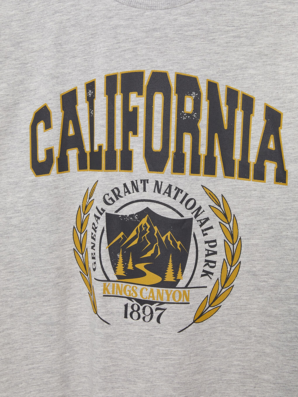 تيشيرت نسائي بأكمام قصيرة وياقة دائرية مطبوع-7