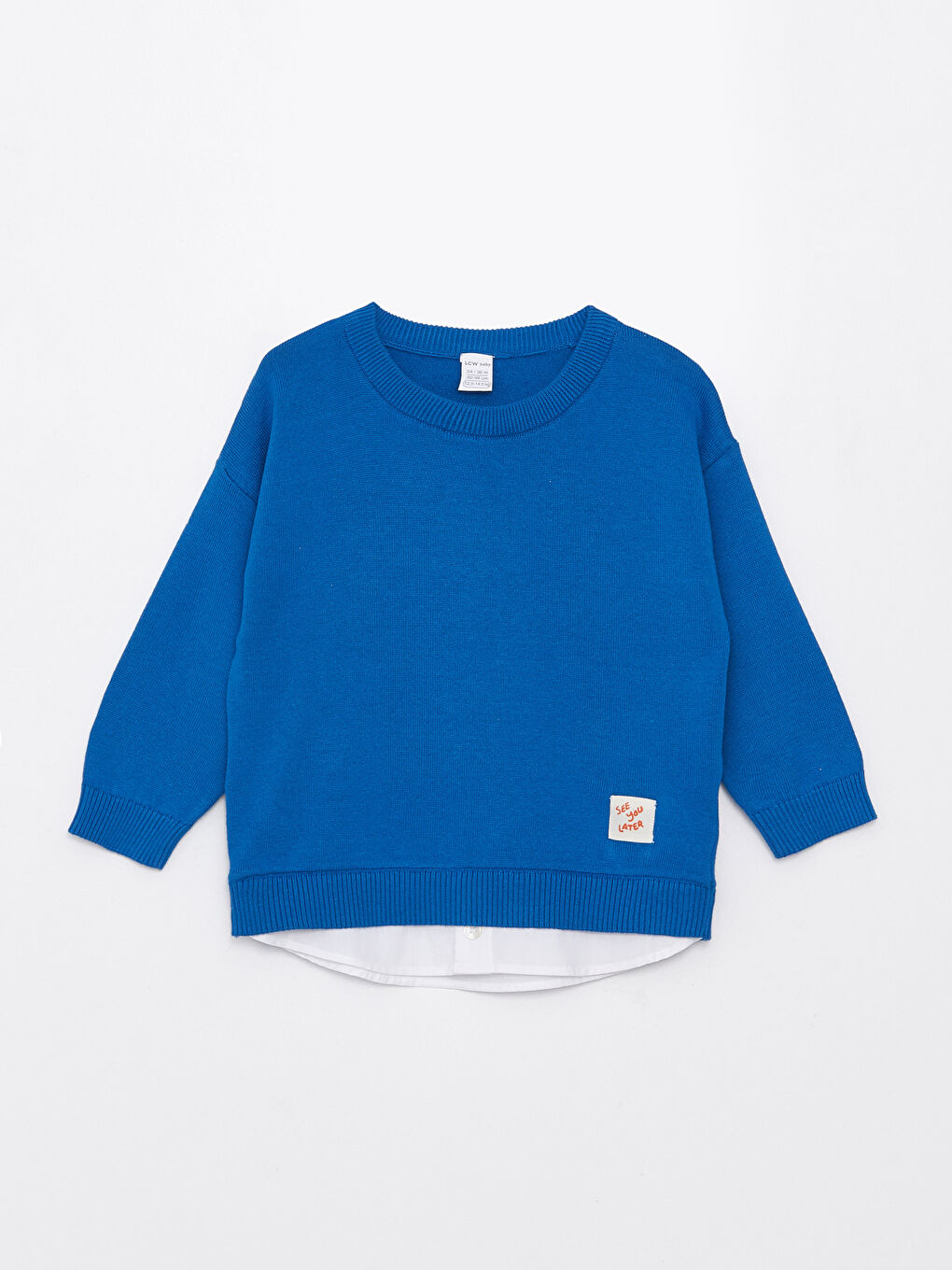 Crew Neck Long Sleeve Baby Boys' Knitwear Sweater -S36291Z1-JVH