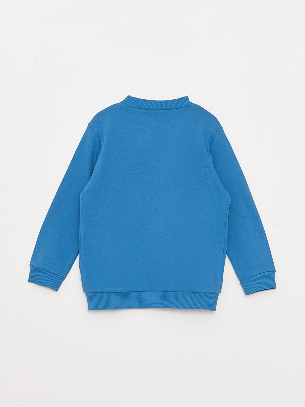 Mavi Bisiklet Yaka Uzun Kollu Nakış Detaylı Erkek Bebek Fermuarlı Sweatshirt-1