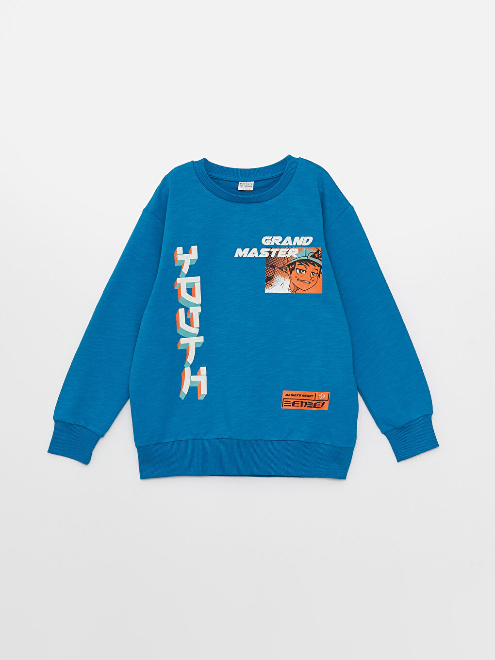 Crew Neck Printed Long Sleeve Boy Sweatshirt and Roller -S38839Z4-H5C