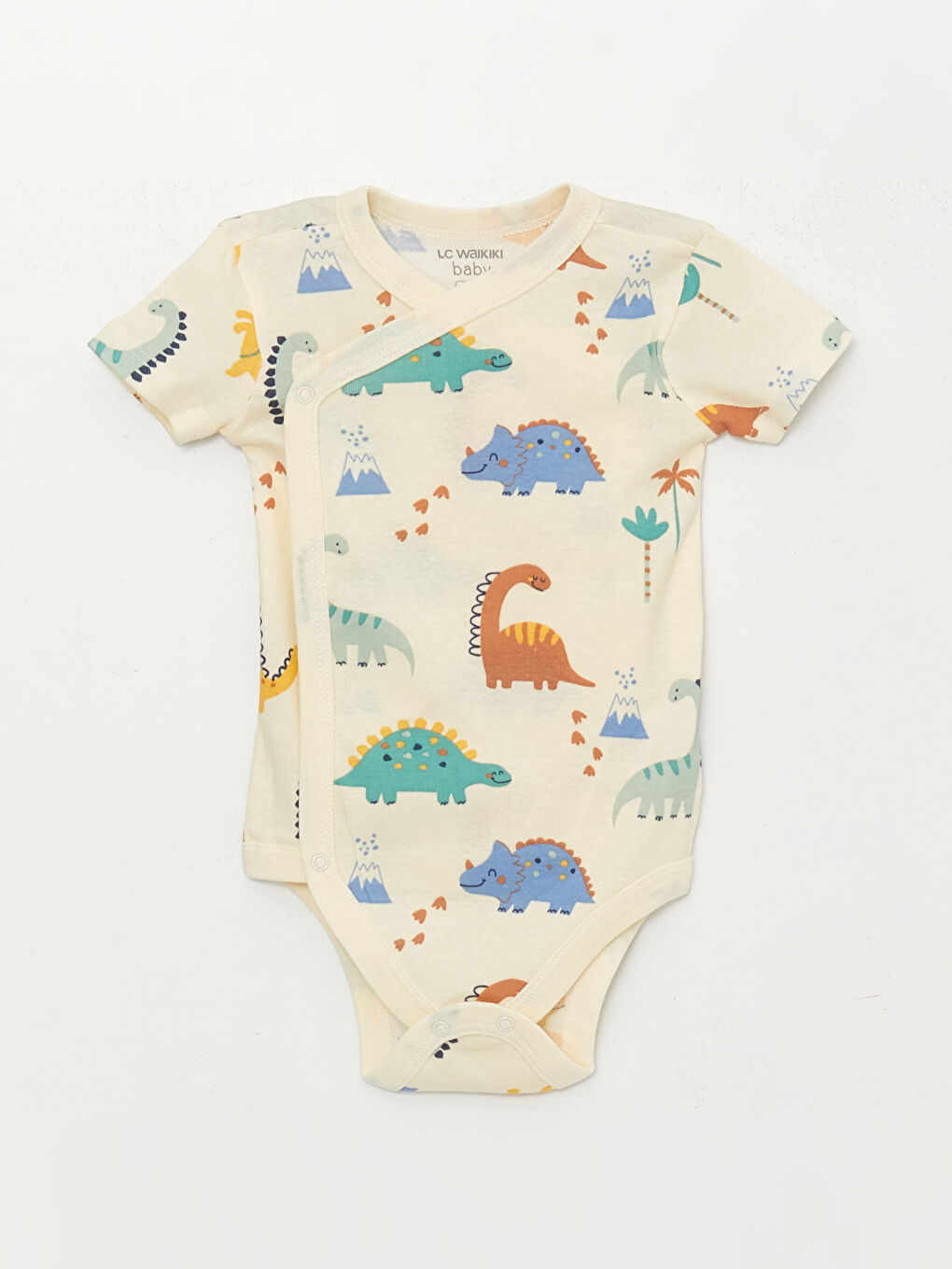 Printed Baby Boy Snap Fastener Bodysuit 2 Pack-2