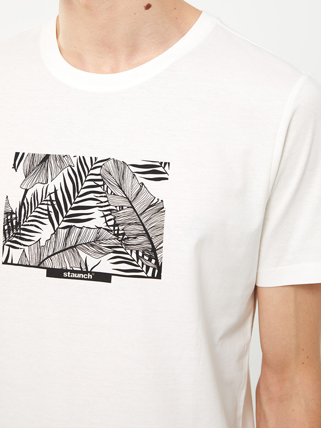 Crew Neck Short Sleeve Printed Combed Cotton Men's T-shirt-3