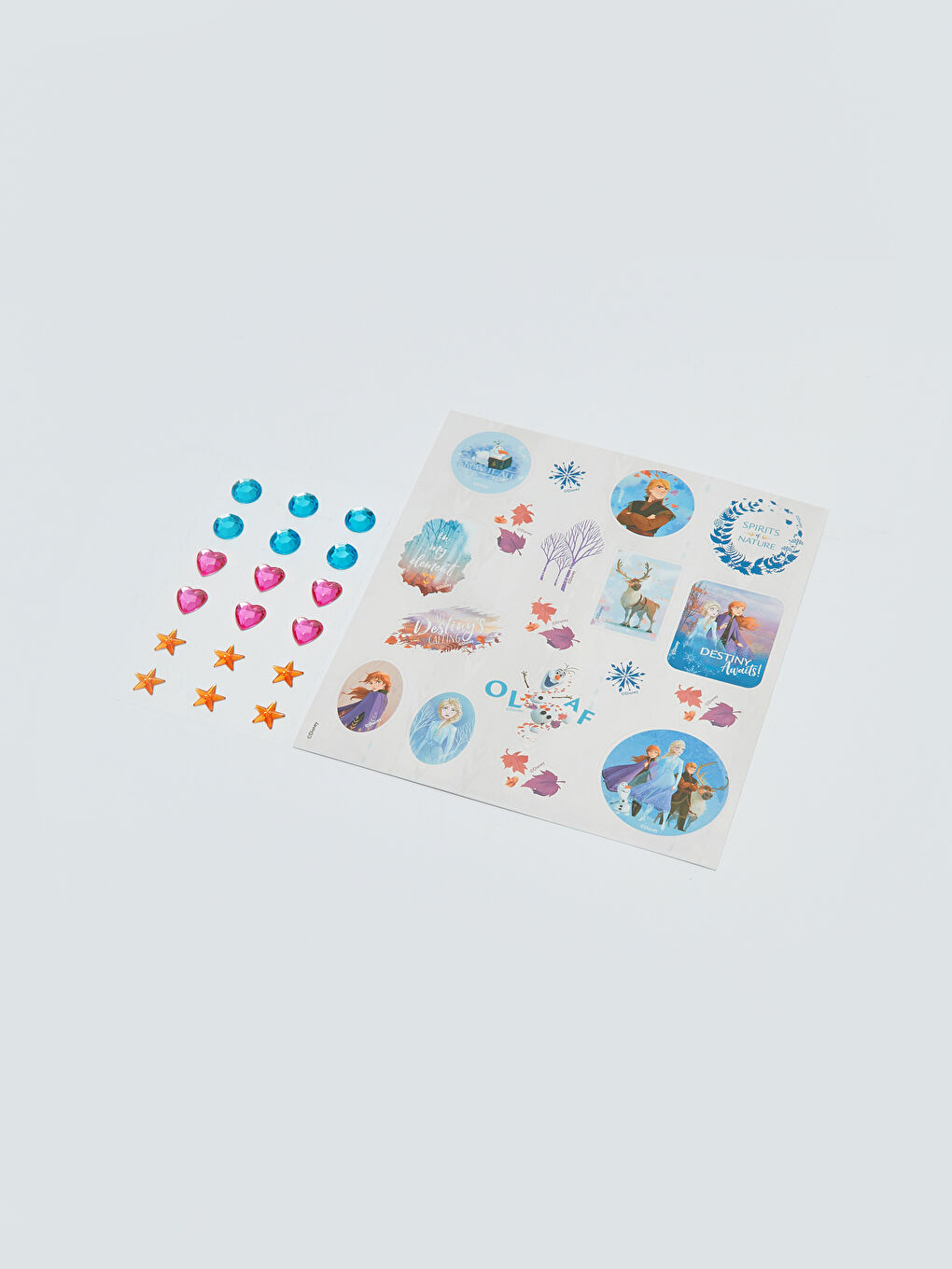 LCW ACCESSORIES Frozen Lisanslı Boyama Seti