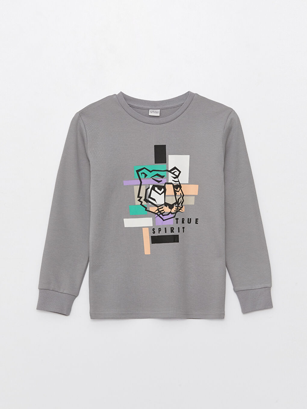 Crew Neck Printed Long Sleeve Boys' T-Shirt-2