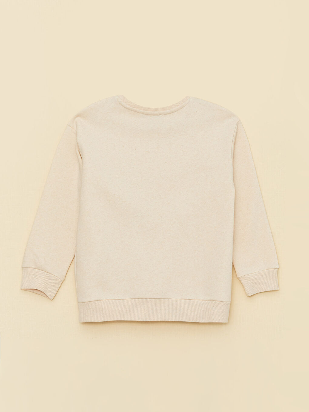 Crew Neck Embroidered Long Sleeve Girl's Sweatshirt-1