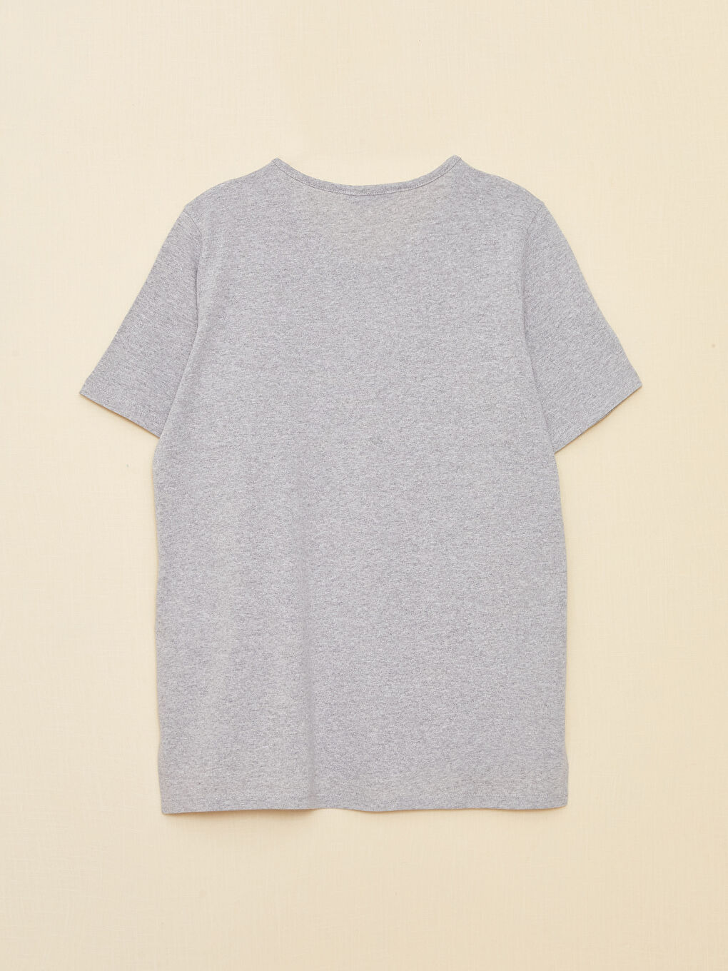 Gri Bisiklet Yaka Düz Kısa Kollu Kadın Tişört-6