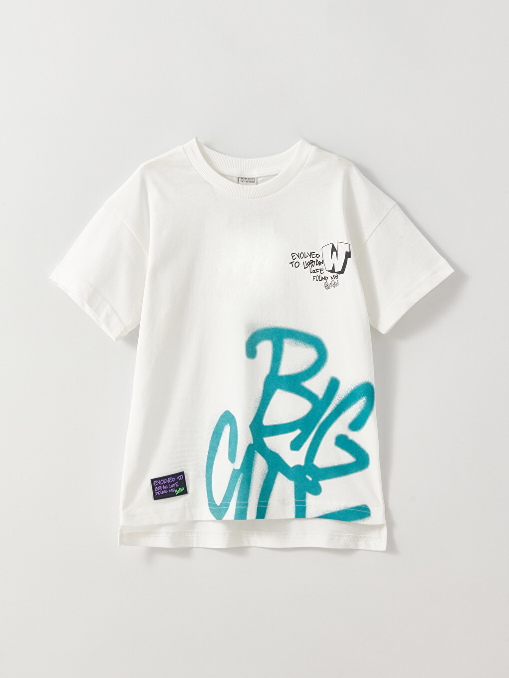 Relaxed Fit Crew Neck Printed Boys' T-Shirt
