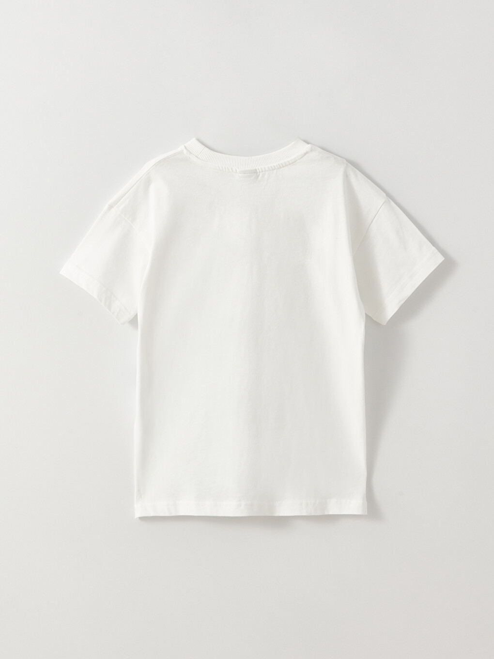 Relaxed Fit Crew Neck Printed Boys' T-Shirt-2