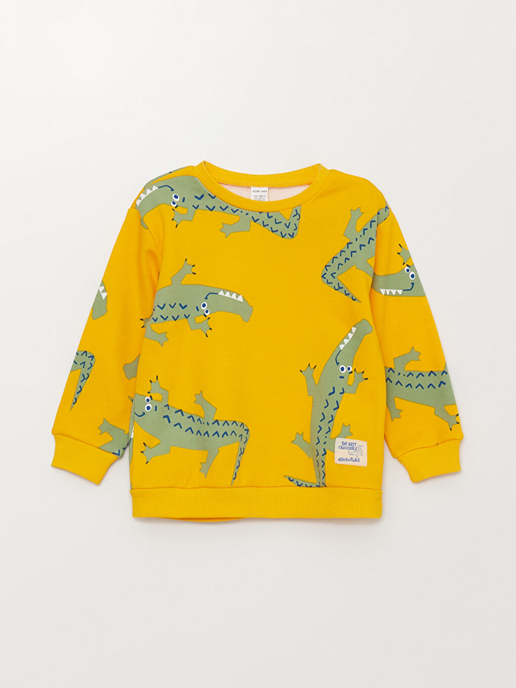 Crew Neck Long Sleeve Printed Baby Boys' Sweatshirt