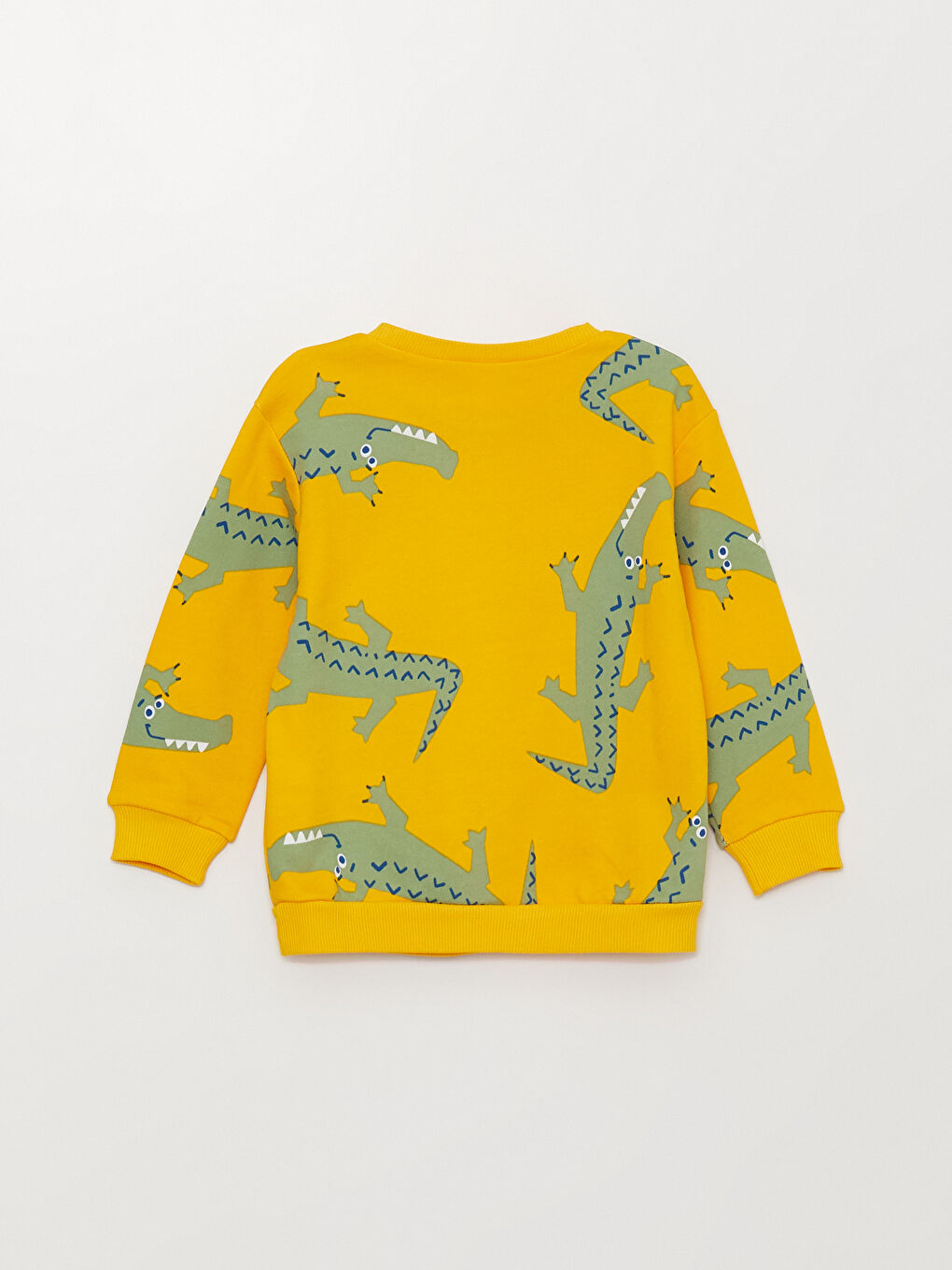 Crew Neck Long Sleeve Printed Baby Boys' Sweatshirt-2
