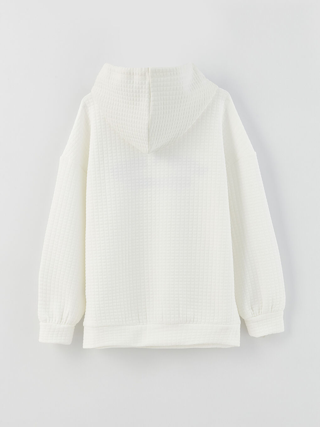 LCW Vision Kapüşonlu Nakışlı Uzun Kollu Kadın Sweatshirt -S3BG27Z8-R9J