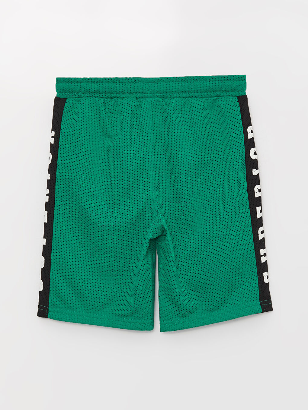 Elasticated Waist Printed Boys' Shorts-1