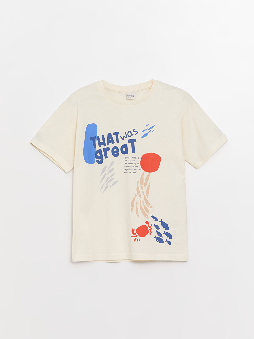 Oversize Crew Neck Boys' T-Shirt-4