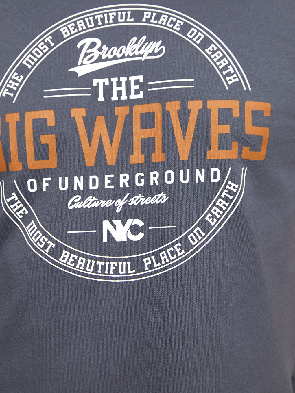 Antrasit Bisiklet Yaka Kısa Kollu Baskılı Penye Erkek Tişört-3