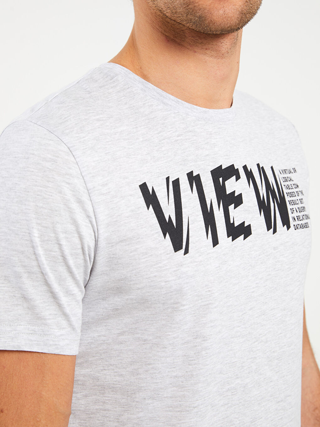 Gri Bisiklet Yaka Kısa Kollu Baskılı Penye Erkek Tişört-3