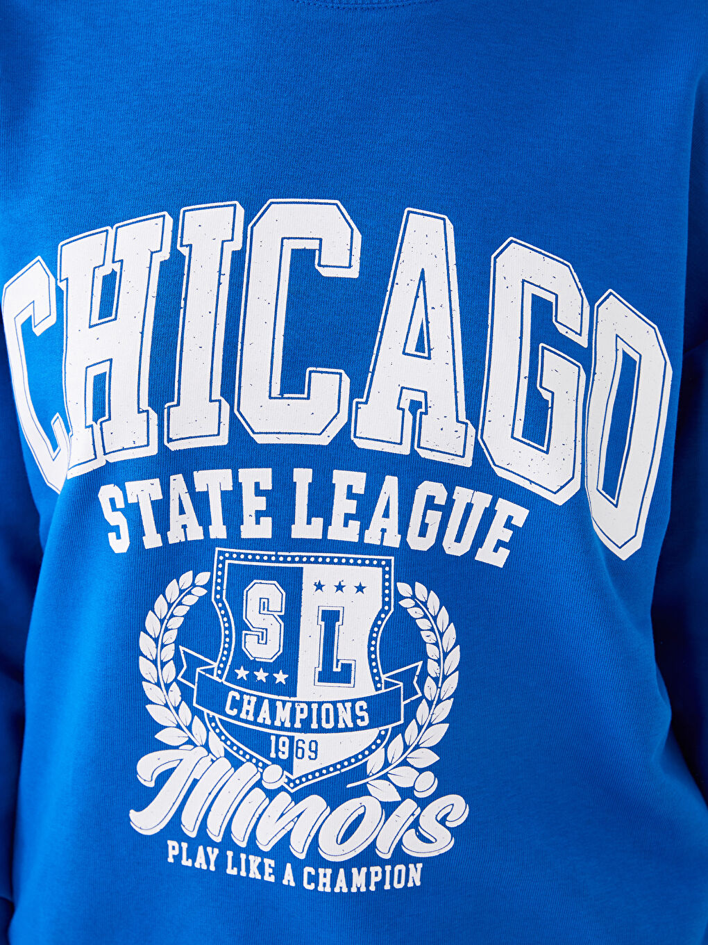 Crew Neck Printed Long Sleeve Women's Sweatshirt-3