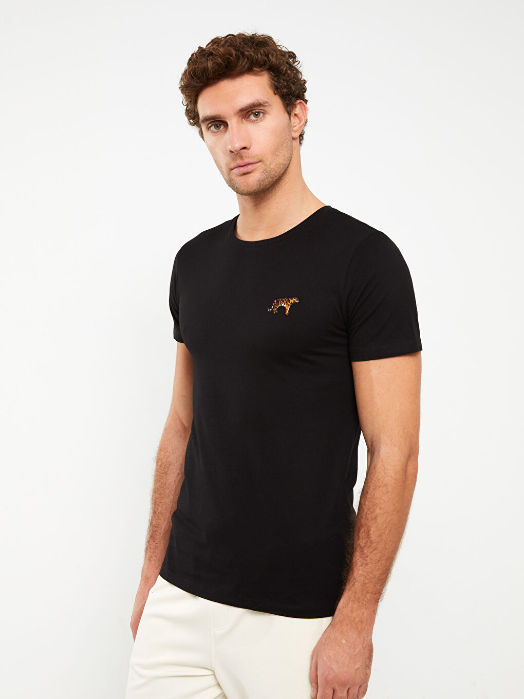 Siyah Bisiklet Yaka Kısa Kollu Nakışlı Penye Erkek Tişört