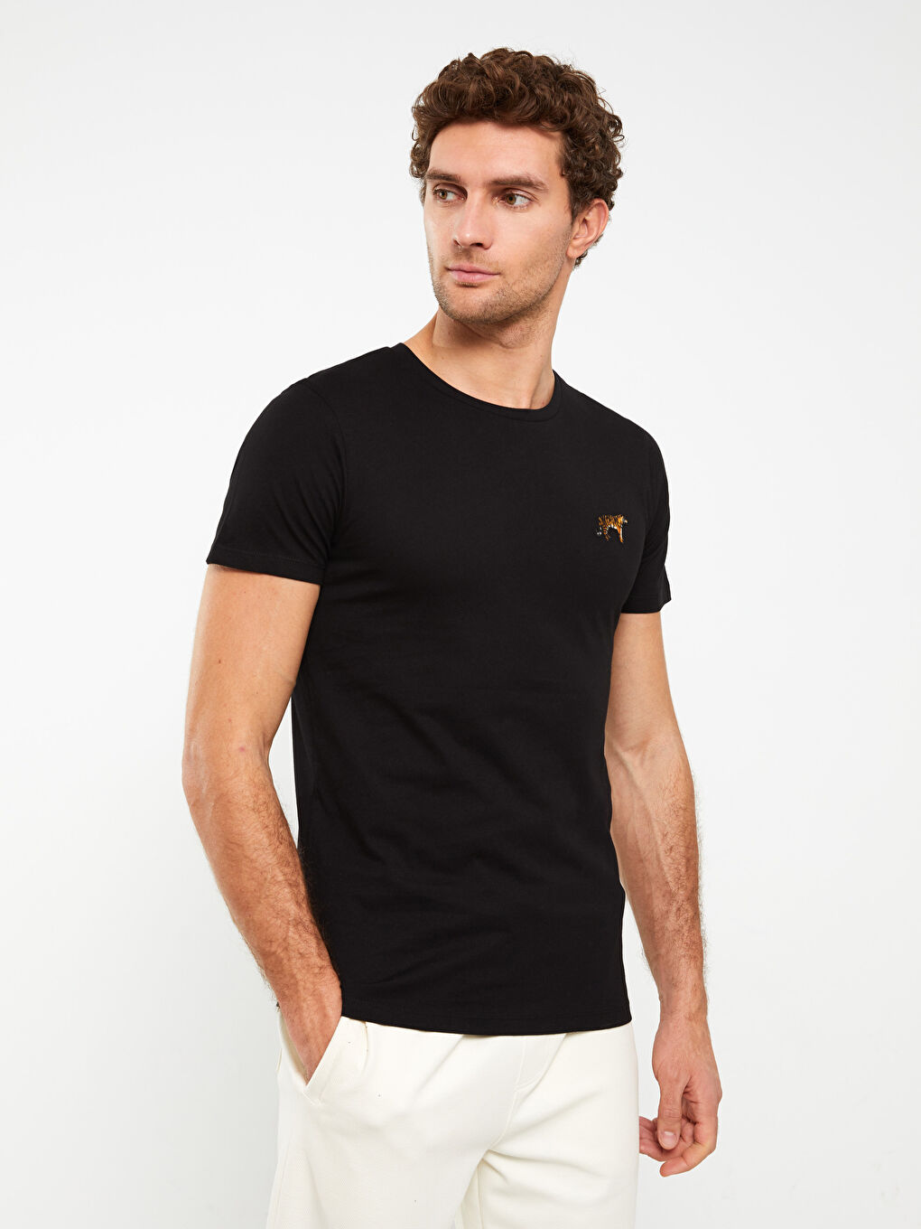 Siyah Bisiklet Yaka Kısa Kollu Nakışlı Penye Erkek Tişört-1