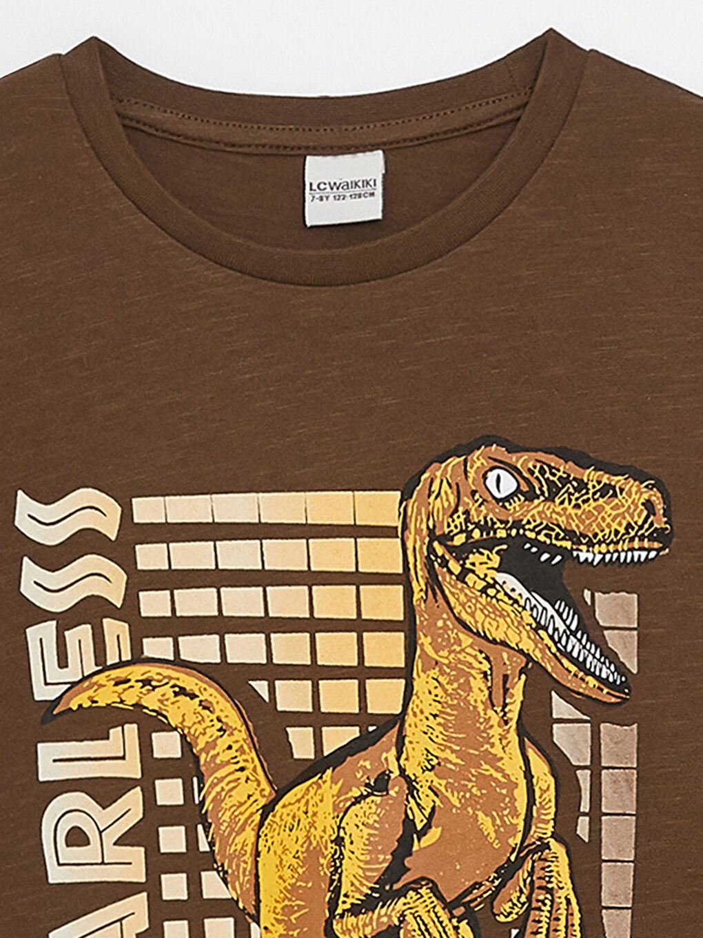 Crew Neck Printed Short Sleeve Boys' T-Shirt-2