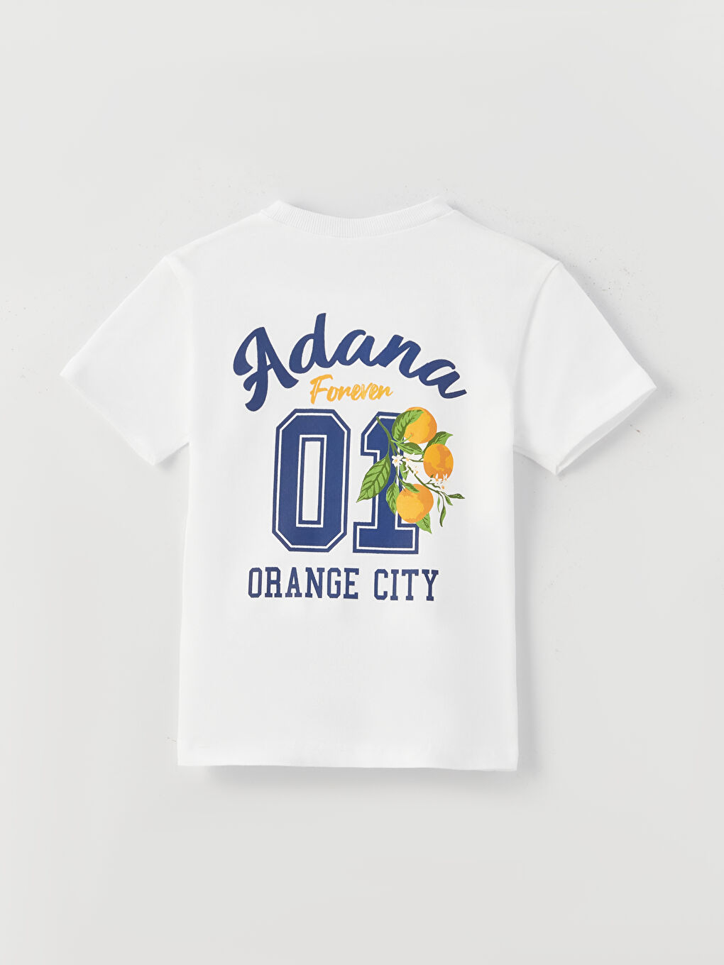 LC Waikiki Crew Neck Short Sleeve Printed Baby Boys' T-Shirt -S3CR83Z1-E5X