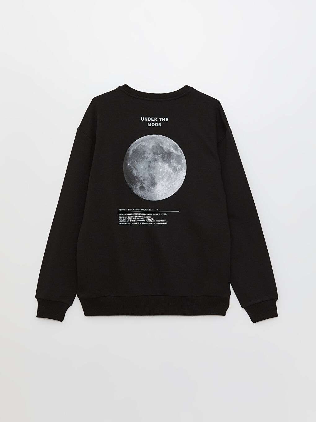 Oversize Crew Neck Long Sleeve Printed Men's Sweatshirt-6