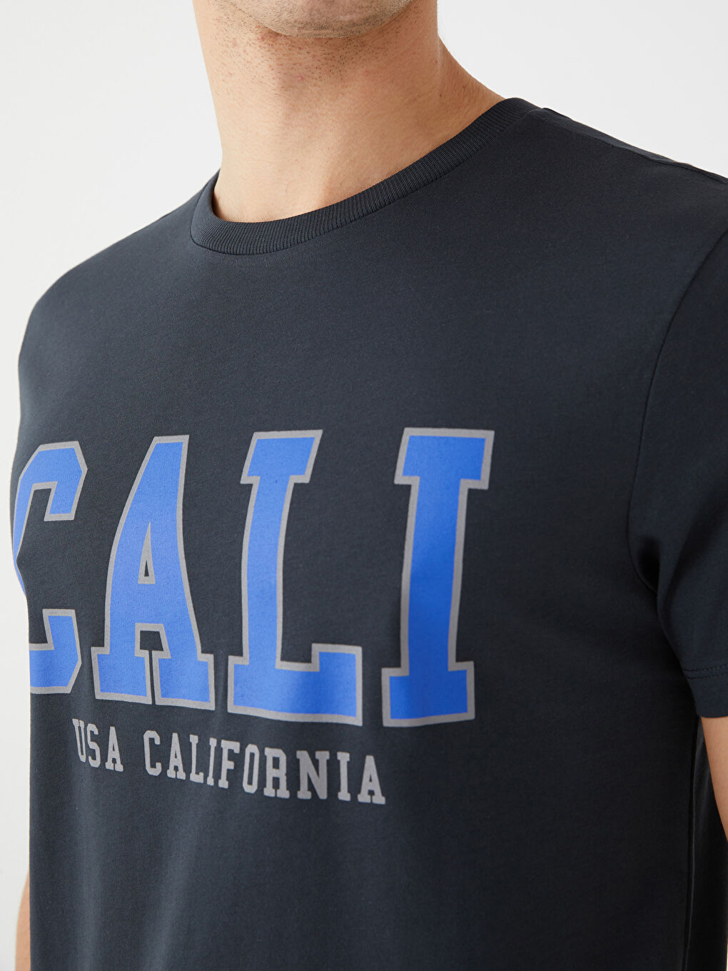 Antrasit Bisiklet Yaka Kısa Kollu Baskılı Penye Erkek Tişört-3